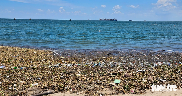 biển Vũng Tàu - Ảnh 3.