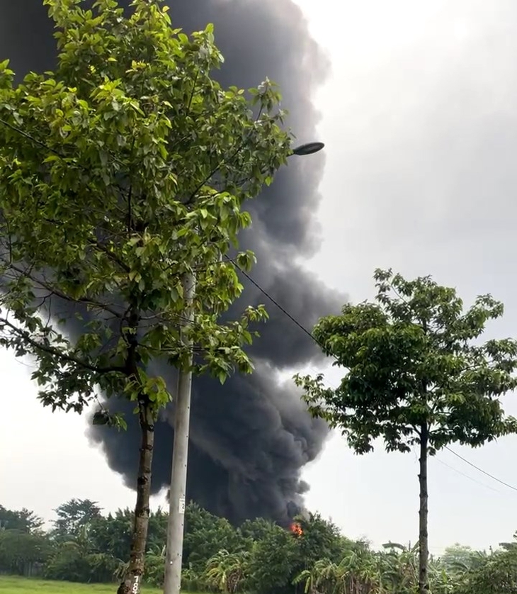 cháy nhà xưởng - Ảnh 1.