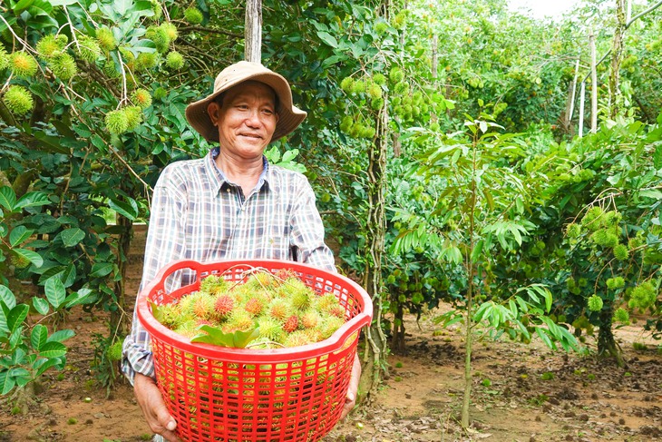 Phú Quốc - Ảnh 3.