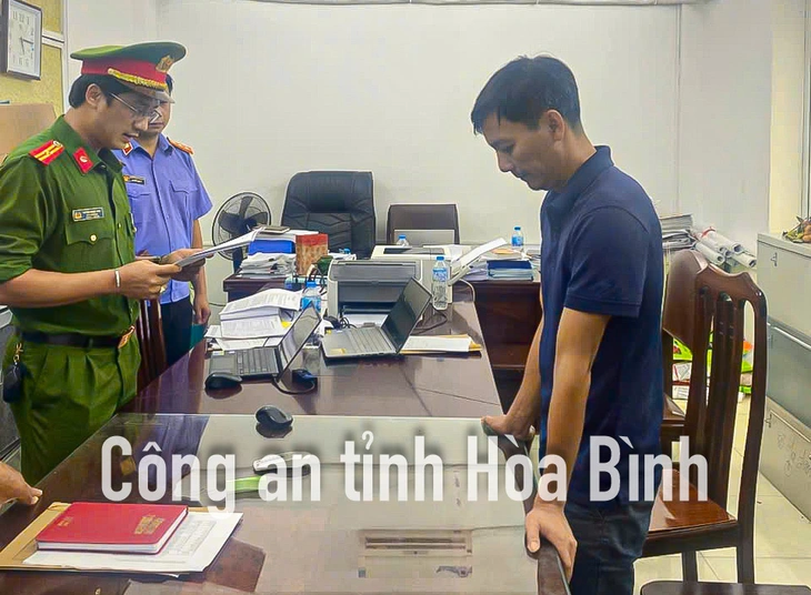 phân bón giả - Ảnh 2.