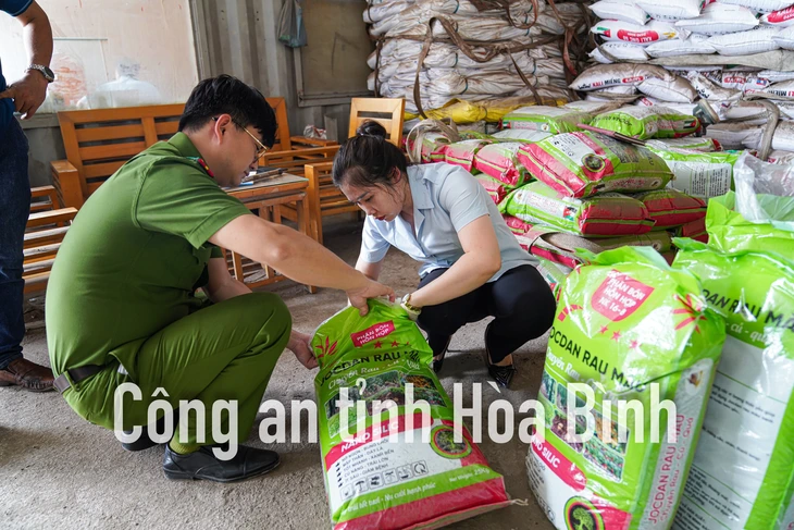 phân bón giả - Ảnh 1.