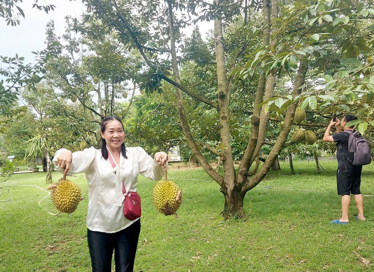 Phú Quốc - Ảnh 1.