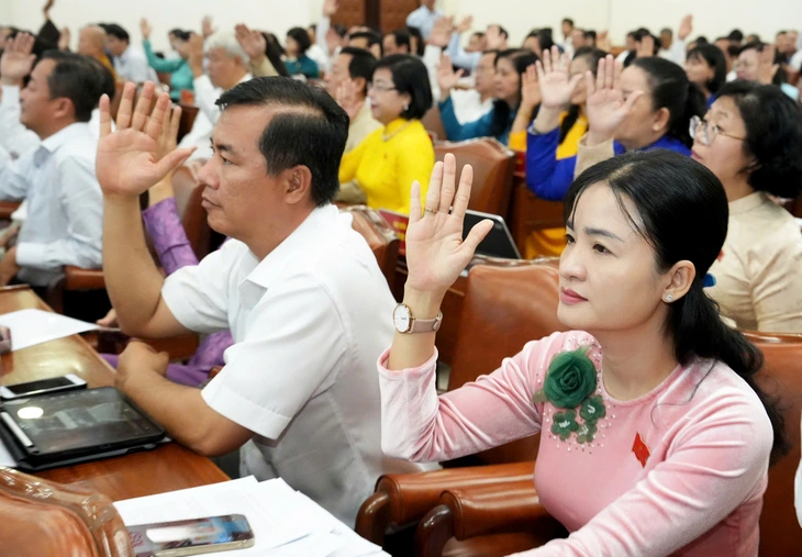 hội đồng nhân dân - Ảnh 1.
