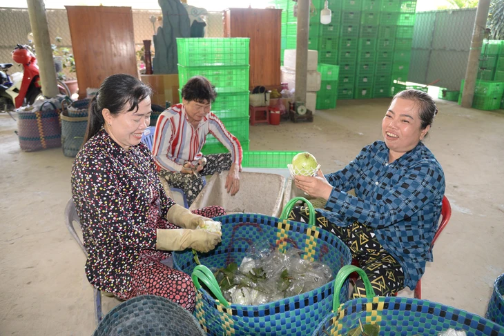 Mít Thái, ổi, xoài đồng giá 1.000 đồng/kg - Ảnh 3.