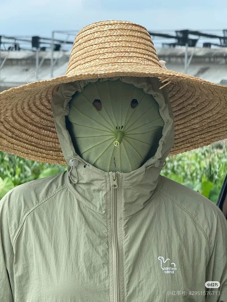 con mèo - Ảnh 2.