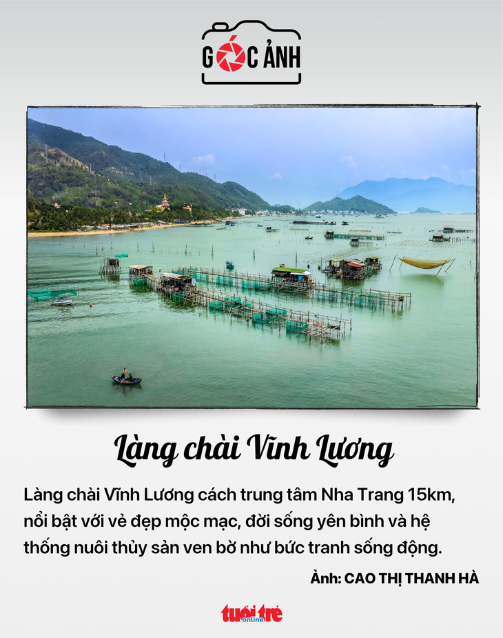 tin tức - Ảnh 8.
