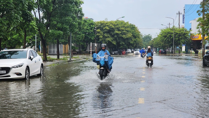 MƯA TO - Ảnh 2.