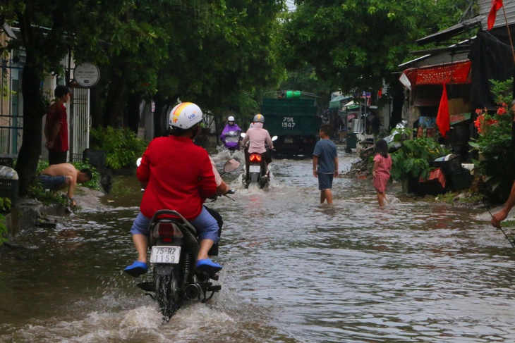 MƯA TO - Ảnh 3.