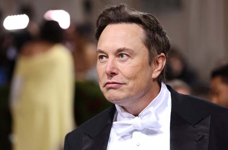 Elon Musk - Ảnh 1.