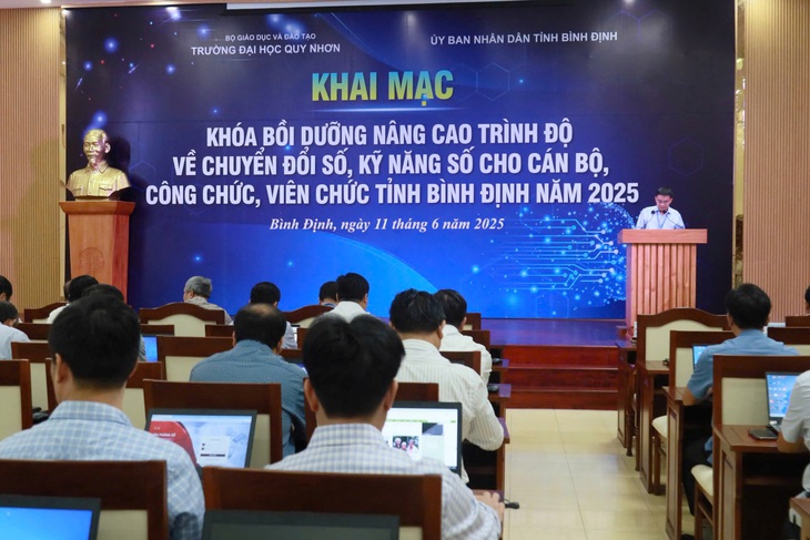 Bình Định - Ảnh 2.