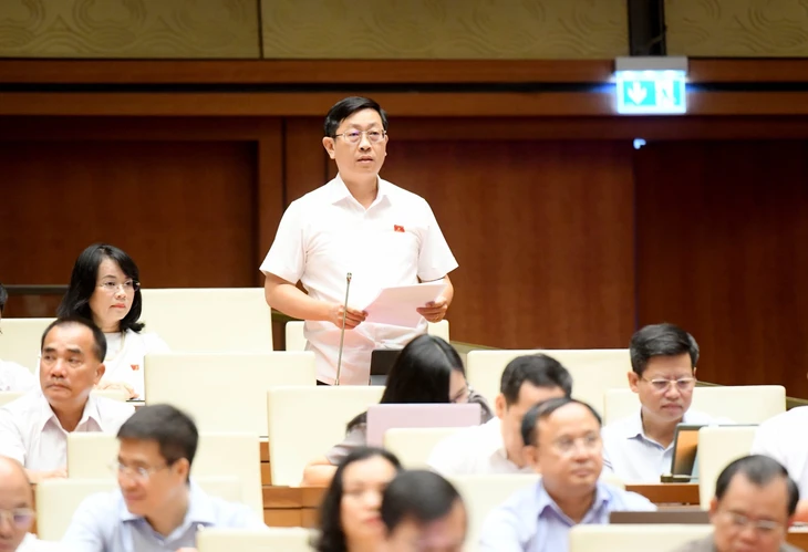 Những lời chia sẻ gan ruột của đại biểu trước giờ bấm nút lịch sử sáp nhập tỉnh, thành - Ảnh 2.