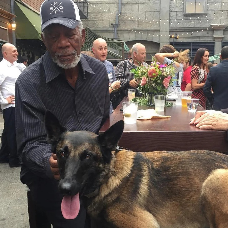 Morgan Freeman - Ảnh 1.