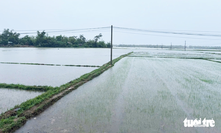 nước lũ - Ảnh 2.