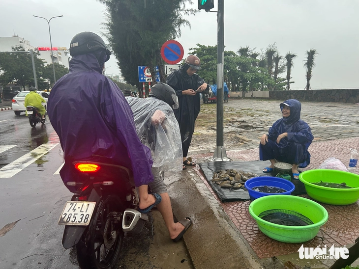 Giữa mưa tầm tã, người dân Đà Nẵng ra biển chài... cá trê, cá rô đồng - Ảnh 10.