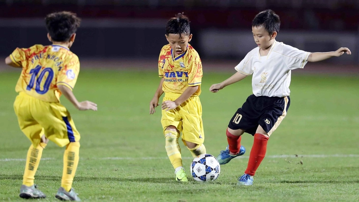 nhập tịch - Ảnh 1.