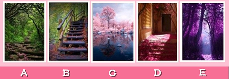 quiz - Ảnh 1.
