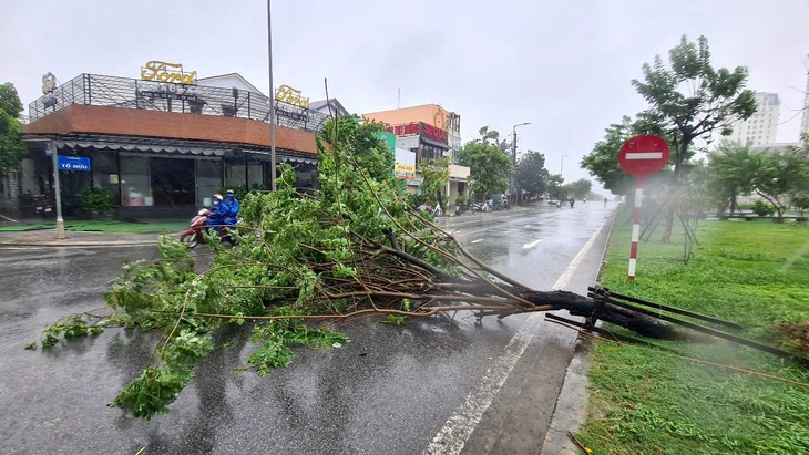 BÃO SỐ 1 - Ảnh 1.