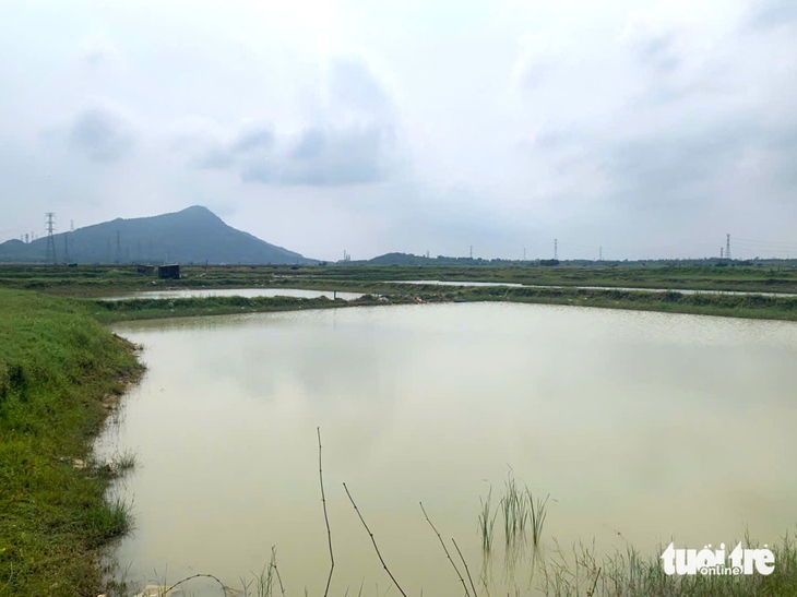 chống ngập - Ảnh 4.