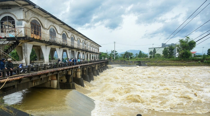 lồng bè nuôi cá - Ảnh 4.