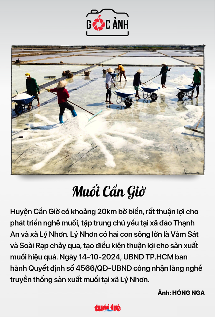 Tin tức sáng 14-6: Từ 1-7 là cao điểm trấn áp tội phạm lừa đảo người đi làm 'việc nhẹ lương cao' - Ảnh 5.