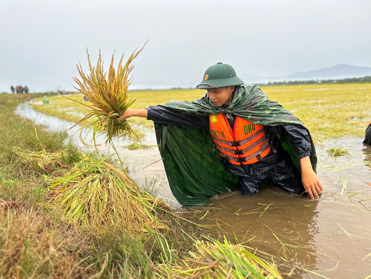 nước lũ - Ảnh 2.