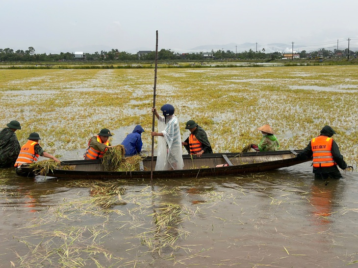 nước lũ - Ảnh 1.