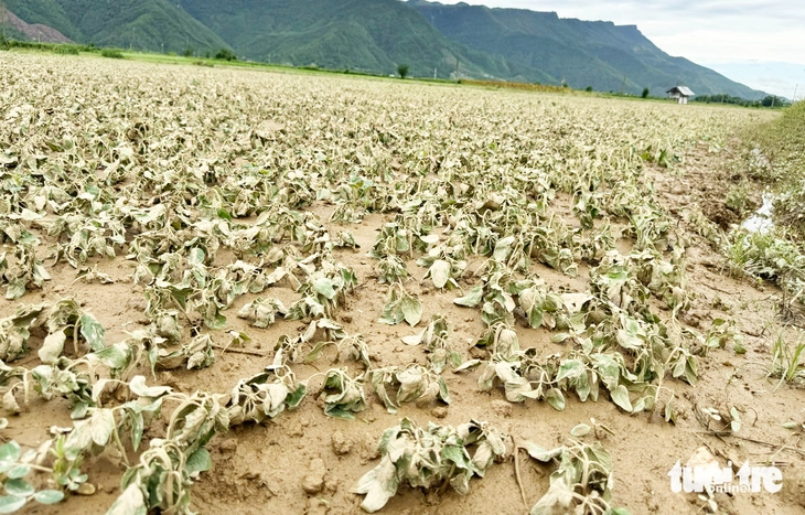 lũ trái mùa - Ảnh 1.