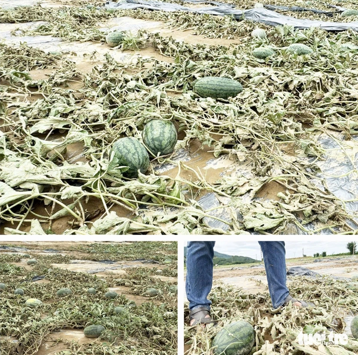 lũ trái mùa - Ảnh 3.