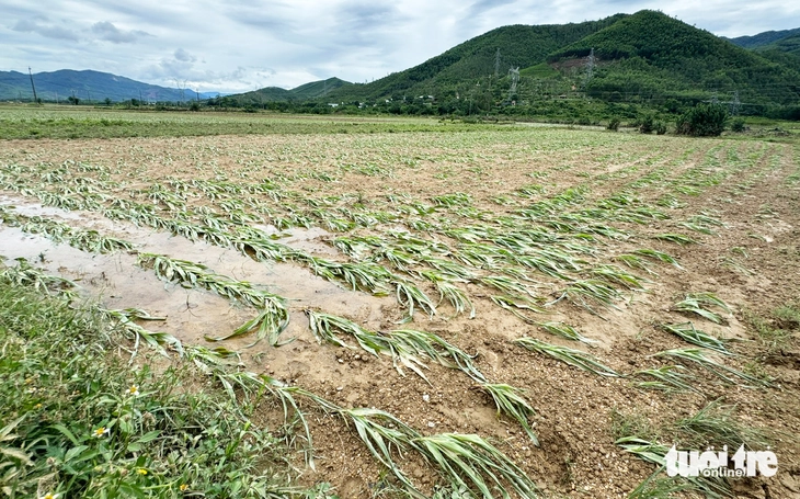 lũ trái mùa - Ảnh 8.