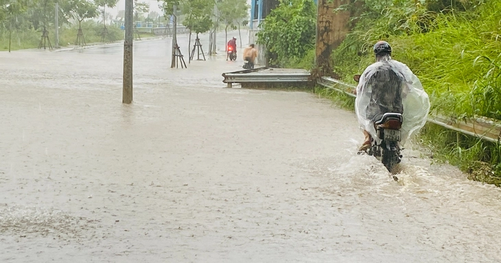 Bão số 1 - Ảnh 1.