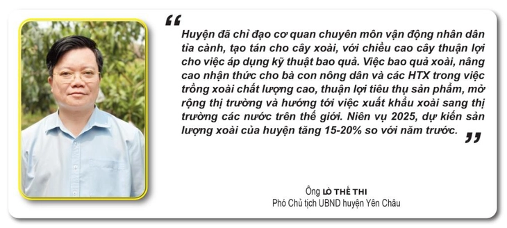 bao quả - Ảnh 3.