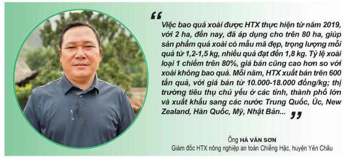 bao quả - Ảnh 5.