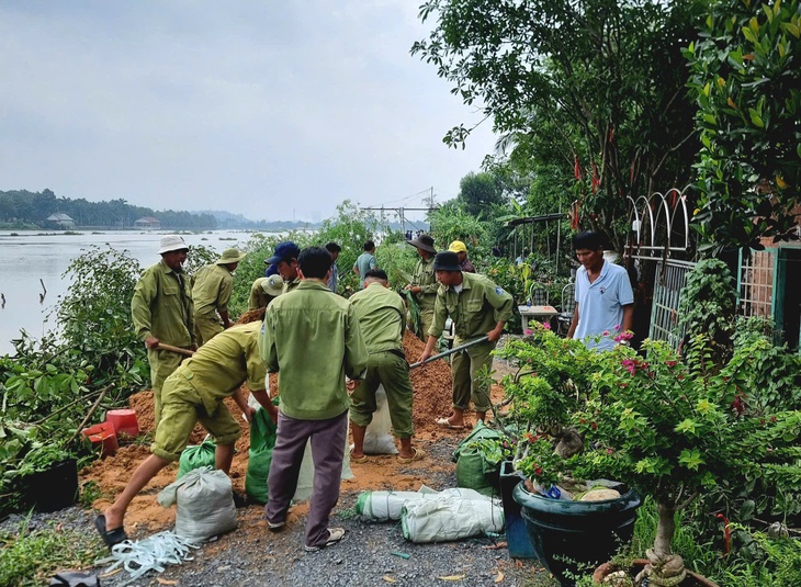 Sạt lở khoảng 70 mét đê bao sông Sài Gòn ở Củ Chi - Ảnh 3.