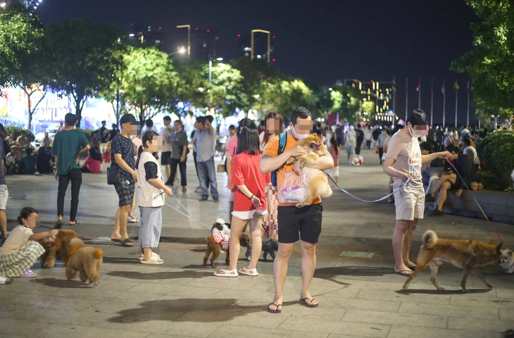 Từ 'tối lửa tắt đèn có nhau' đến mất lòng nhau vì chuyện tiểu tiện của chó - Ảnh 1.