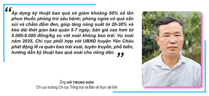 bao quả - Ảnh 4.