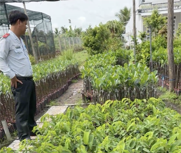 cây giống - Ảnh 1.