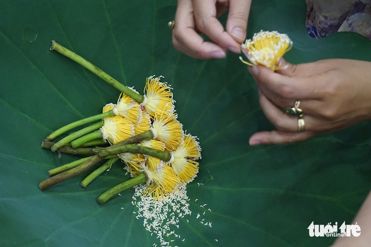Công phu nghề làm trà sen Hồ Tây, bao điều cấm kỵ - Ảnh 7. Công phu trà sen hồ Tây, nghề có bao điều cấm kỵ - Ảnh 7.