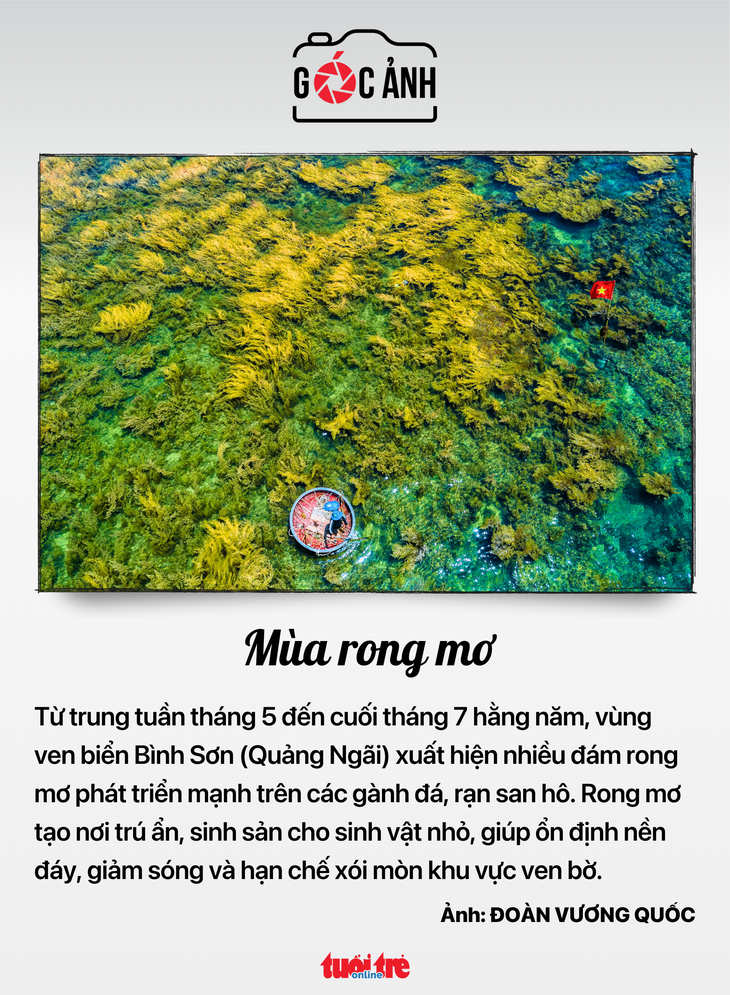 lái xe hạng FC - Ảnh 6.