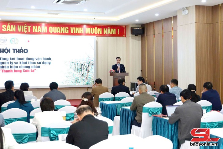 Xây dựng thương hiệu ‘Thanh long Sơn La’ - Ảnh 4.