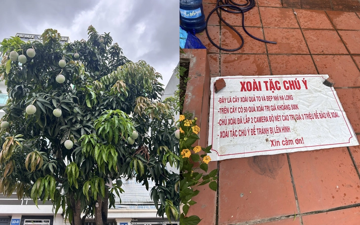 Nằng nặc đòi ngồi ghế 11A sau vụ rơi máy bay Ấn - Ảnh 4.