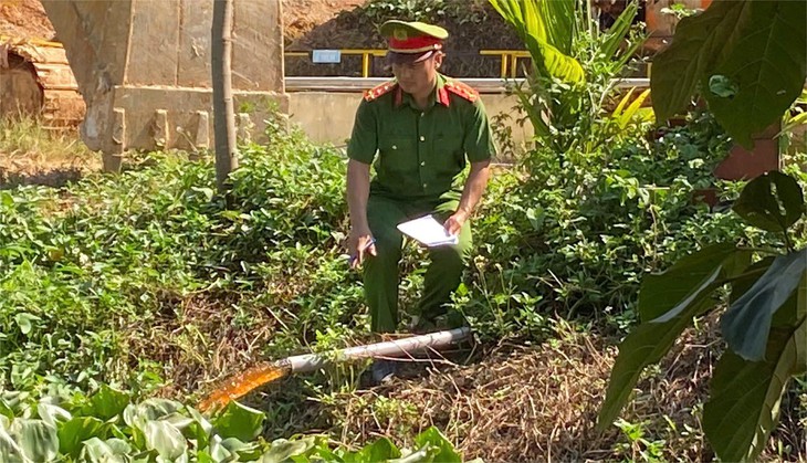 trang trại nuôi heo - Ảnh 3.