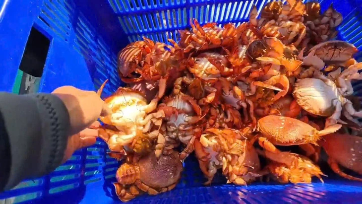 cua huỳnh đế - Ảnh 1.