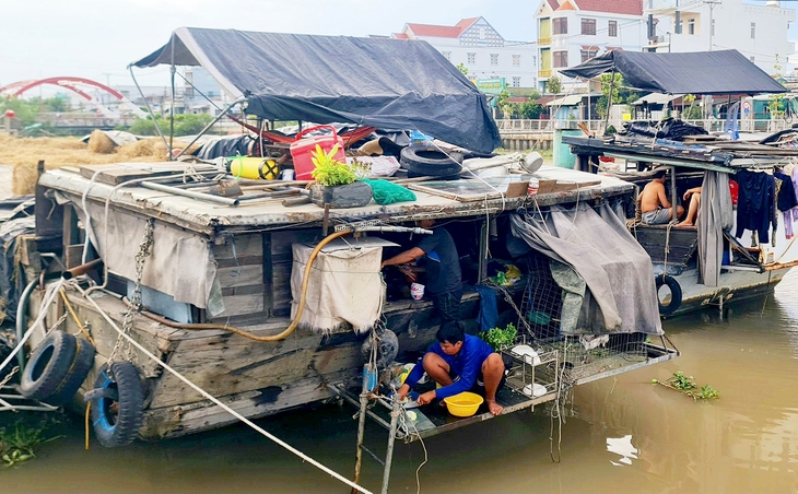 Thương hồ theo những mùa rơm - Ảnh 2. thương hồ - Ảnh 2.