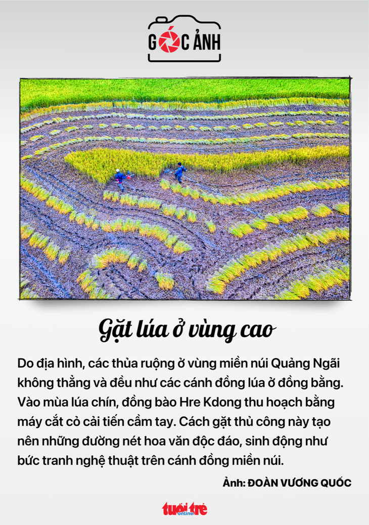 Việt Nam - Ảnh 7.