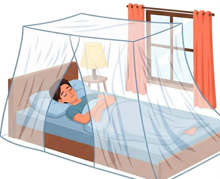 sốt xuất huyết - Ảnh 1.