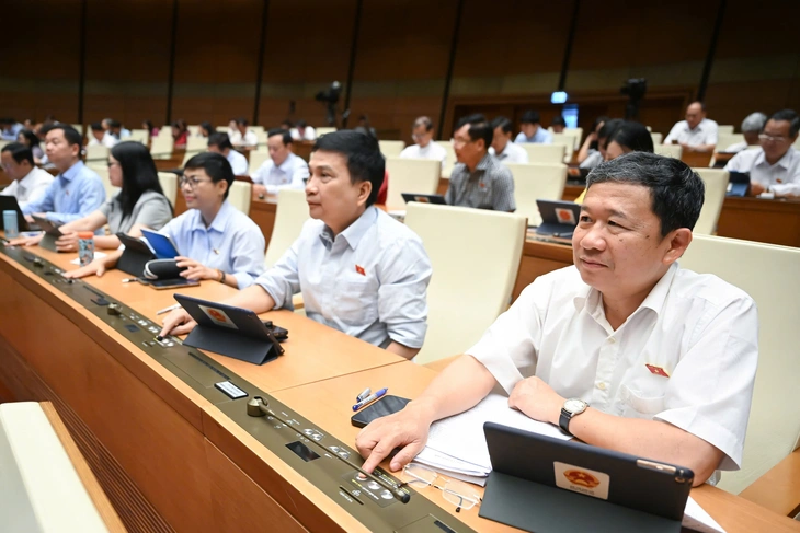 Việt Nam - Ảnh 1.