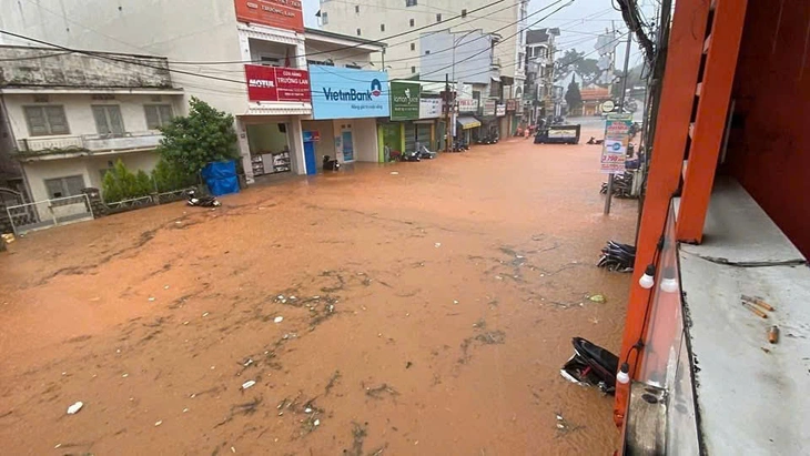 Đà Lạt - Ảnh 4.