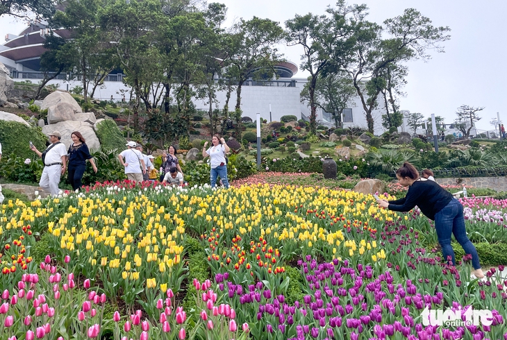 Tây Ninh - Ảnh 1.