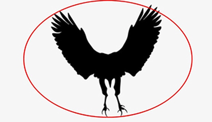 Quiz - Ảnh 3.