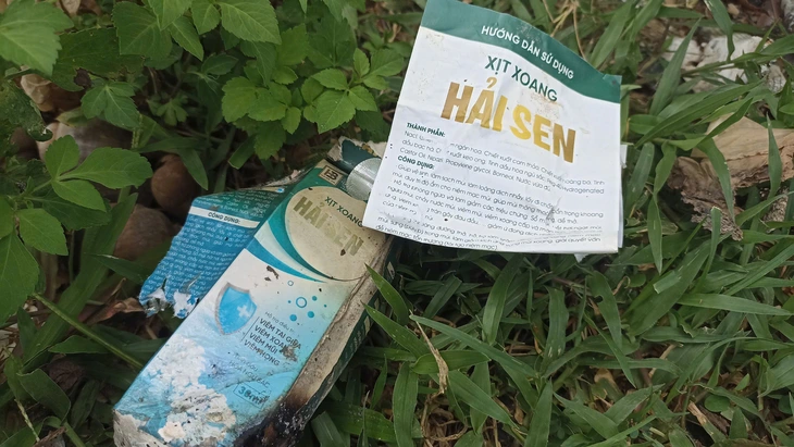 Hải Sen - Ảnh 2.